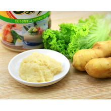Trading Frozen Pure Ginger Paste Puree